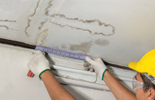 Reliable Burst Pipe Cleanup contractor in Valentine, AZ by Water Damage Irwin